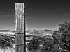 From The Canelo Hills To The Mustang Mountains