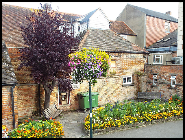 Wallingford town garden