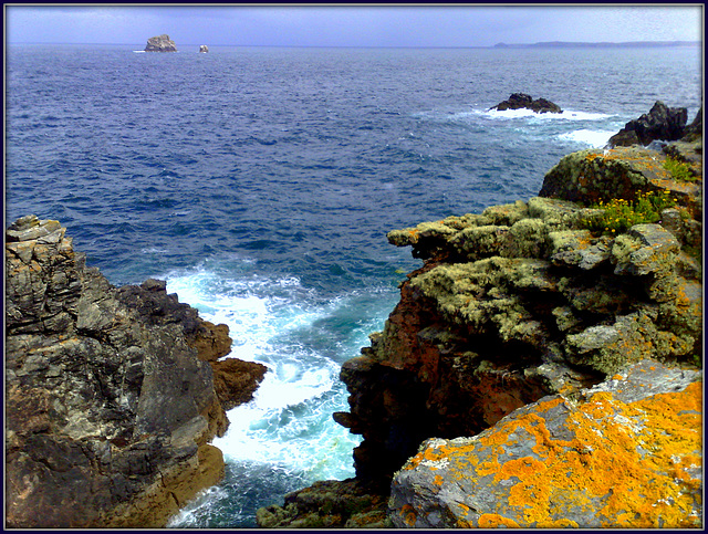 Man and His Man from St Agnes' Head