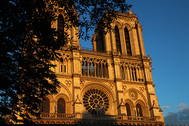 Après le sinistre de la Nantes religieuse , une photo de Notre-Dame de Paris réalisée la semaine dernière .