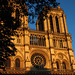 Après le sinistre de la Nantes religieuse , une photo de Notre-Dame de Paris réalisée la semaine dernière .