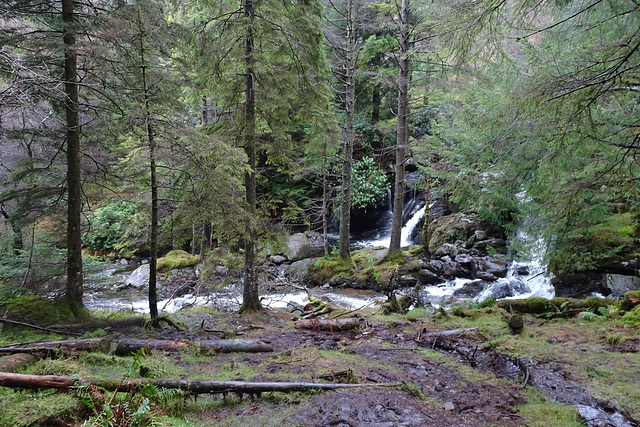 Waterfall Near Lochgoilhead