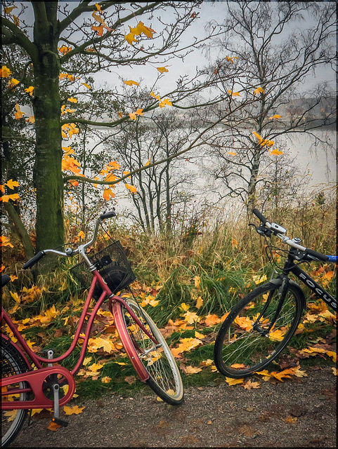 biking