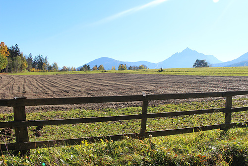 ...herbstliche Wiesen