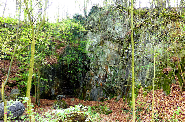 DE - Mettmann - Hiking in the Neandertal