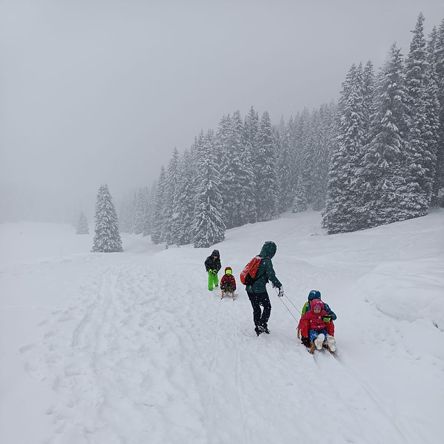 Fun in the snow.