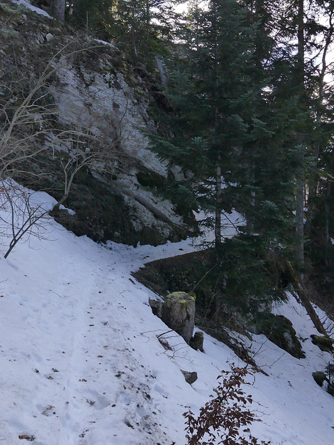 20250112 Raquettes Crêtes de Charande (Vercors) (145)