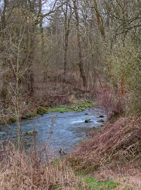 (029/365) Im Tal der Triebisch