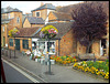 Wallingford in bloom