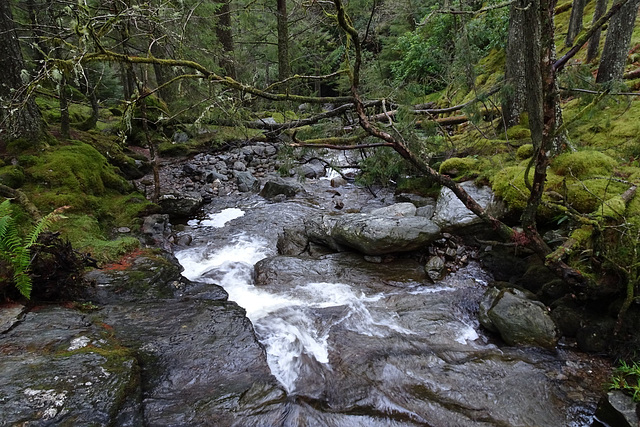 Waterfall Near Lochgoilhead