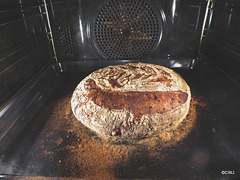 The Biden Grin Sourdough Loaf!