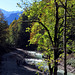 View in the Valley of the Partnach Gorge.