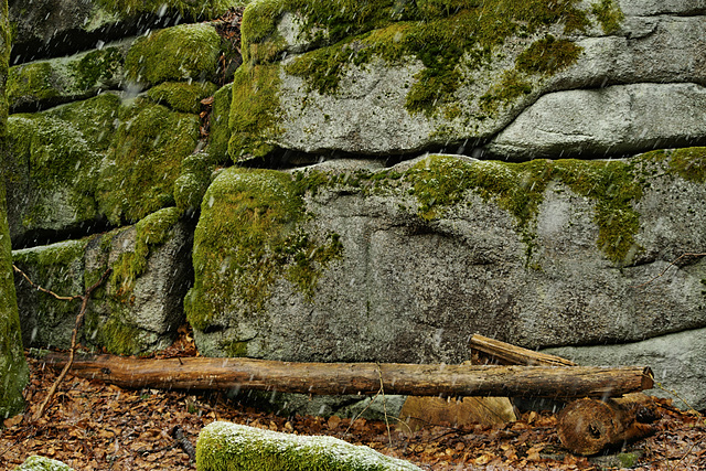 Bushcraft Bench