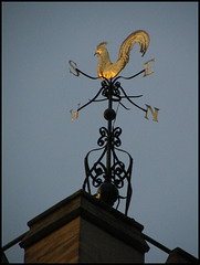golden weathercock