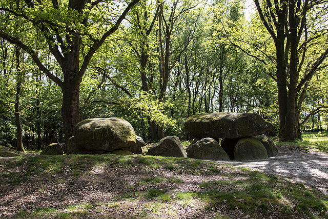 Grosssteingrab bei Gross Berssen (Nr VI)