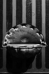 Pareidolia