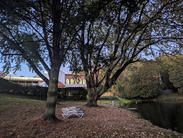 Trois chaises longues en attente
