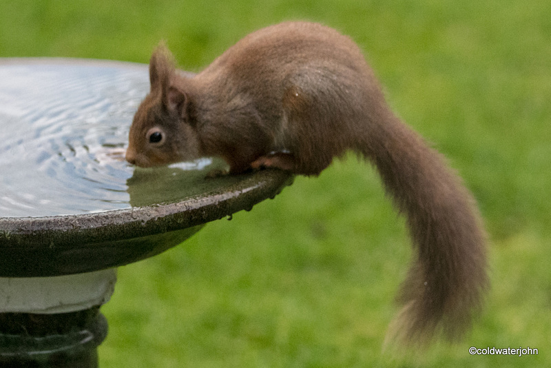 Just having a drink...