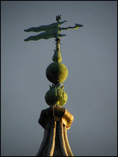 stormy weather vane