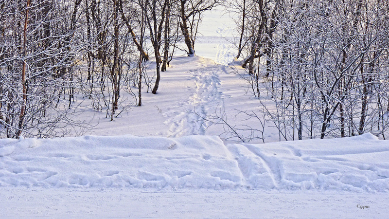 (2) ...führt auch ein Weg dorthin... / ...a path leads to...