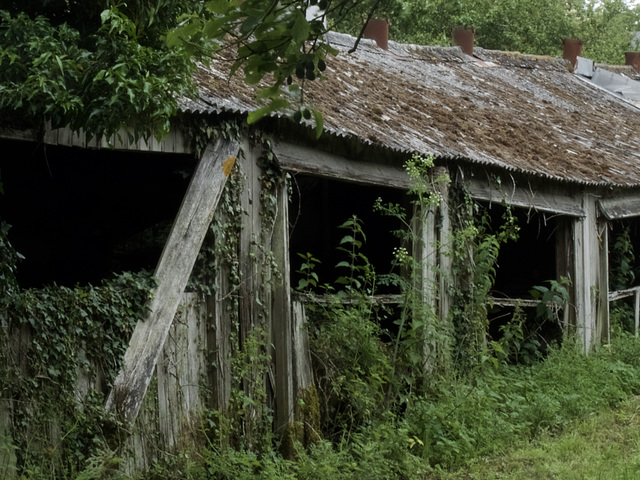 Rural Decay