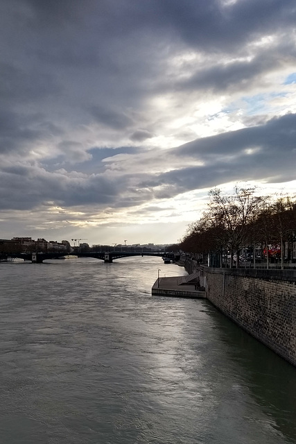 Le Rhône à Lyon