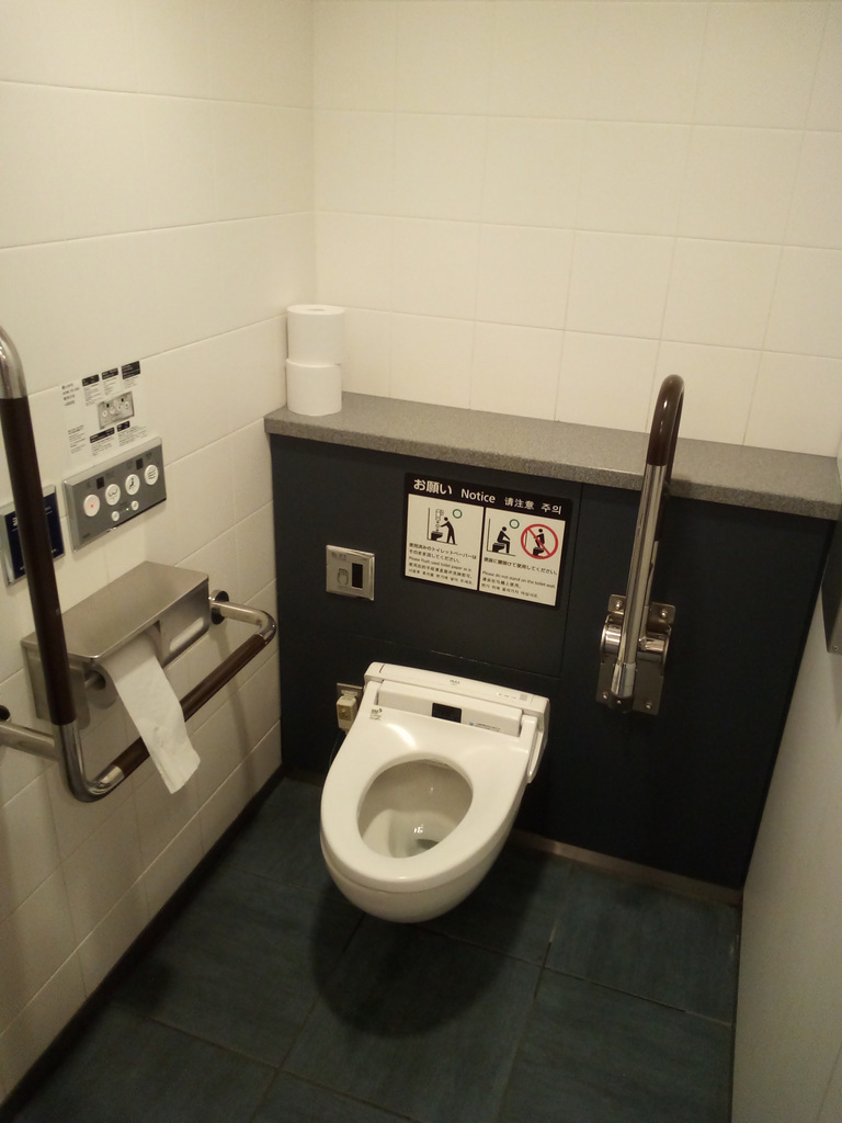Toilette  à pitons  /  Japanese toilet with various buttons