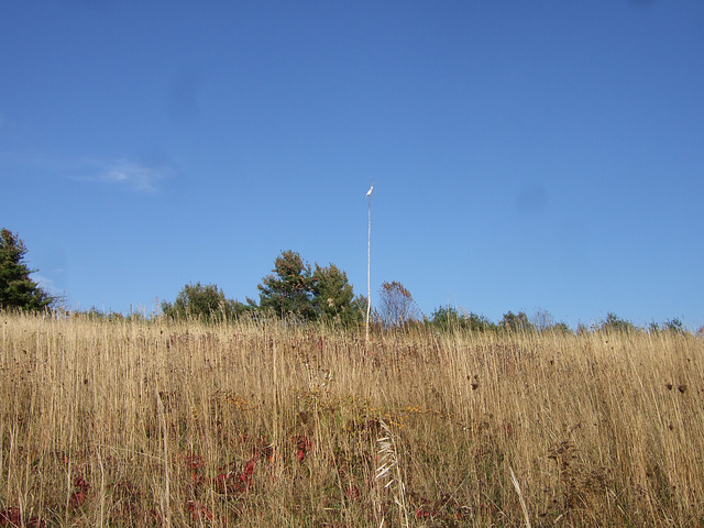 Hilltop Marker