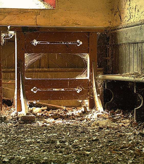 Abandoned Chapel. Carpet "created" by pigeons!