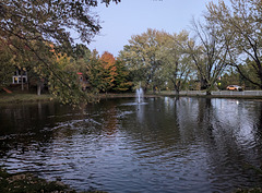 Canards et fontaine / Happy ducks' fountain
