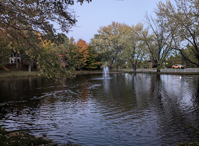 Canards et fontaine / Happy ducks' fountain