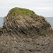 Syncline in Middle Cove islet, Stackpole Quay, Pembrokeshire.