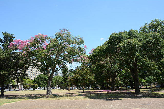Buenos Aires, In the Park of Oriental Republic of Uruguay Buenos Aires, In the Park of Oriental Republic of Uruguay