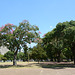 Buenos Aires, In the Park of Oriental Republic of Uruguay