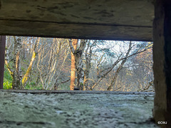 Remanants of WWII - guarding the Cromarty Gap