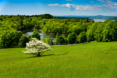 Olana State Historic Site, New York (DSC9587)