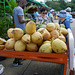 Coconuts for Sale (HTT)