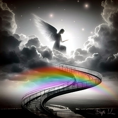 the rainbow✨️bridge