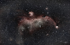 Seagull Nebula IC2177