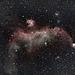 Seagull Nebula IC2177