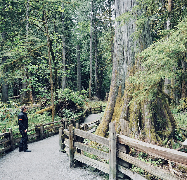 Near Port Alberni BC