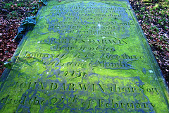 Memorial to the Joseph, Charles and John Darwin, Wentworth Old Churchyard, South Yorkshire