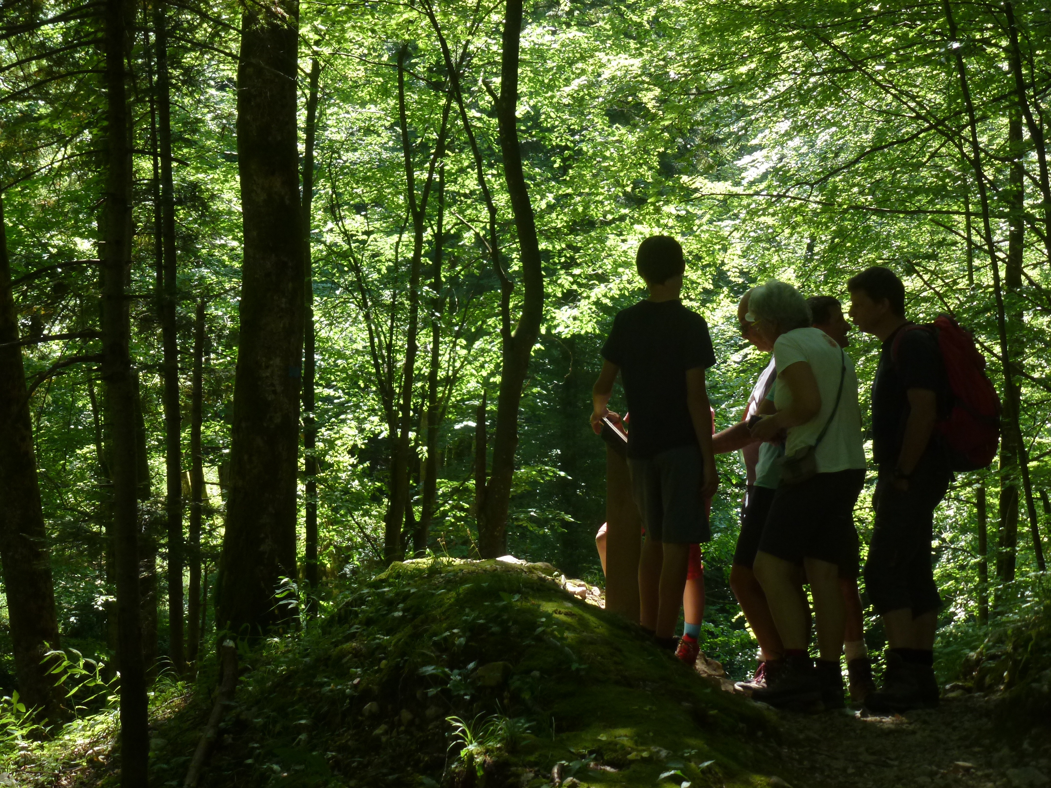 20150710 -15 Rando Spéléo St Pierre de Chartreuse (172)