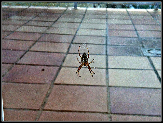 Preparando la merienda.