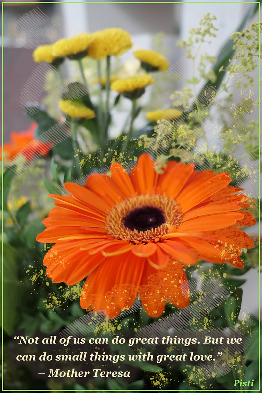 flowers for Pam (pip)