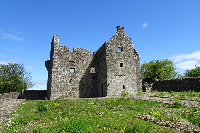 Tully Castle