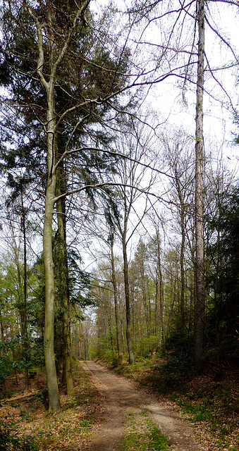 Auf dem Wanderweg Nr. 4