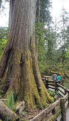 Near Port Alberni BC