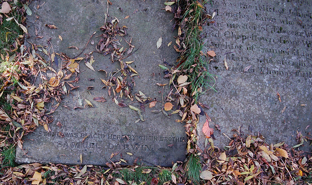 Samuel Darwin, Tankersley Churchyard