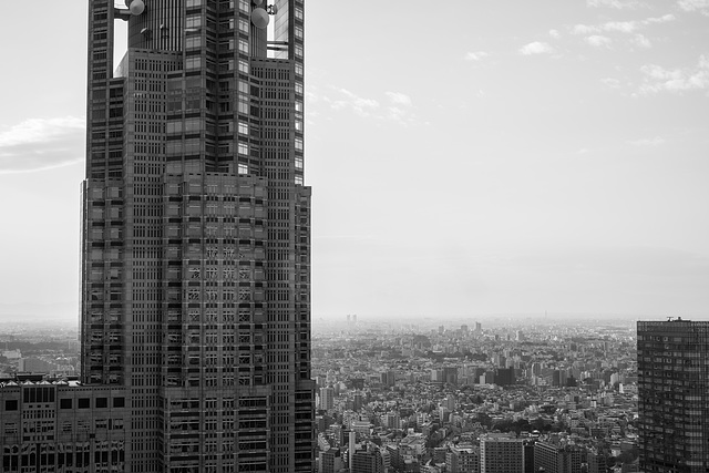 Metropolitan Government Office building